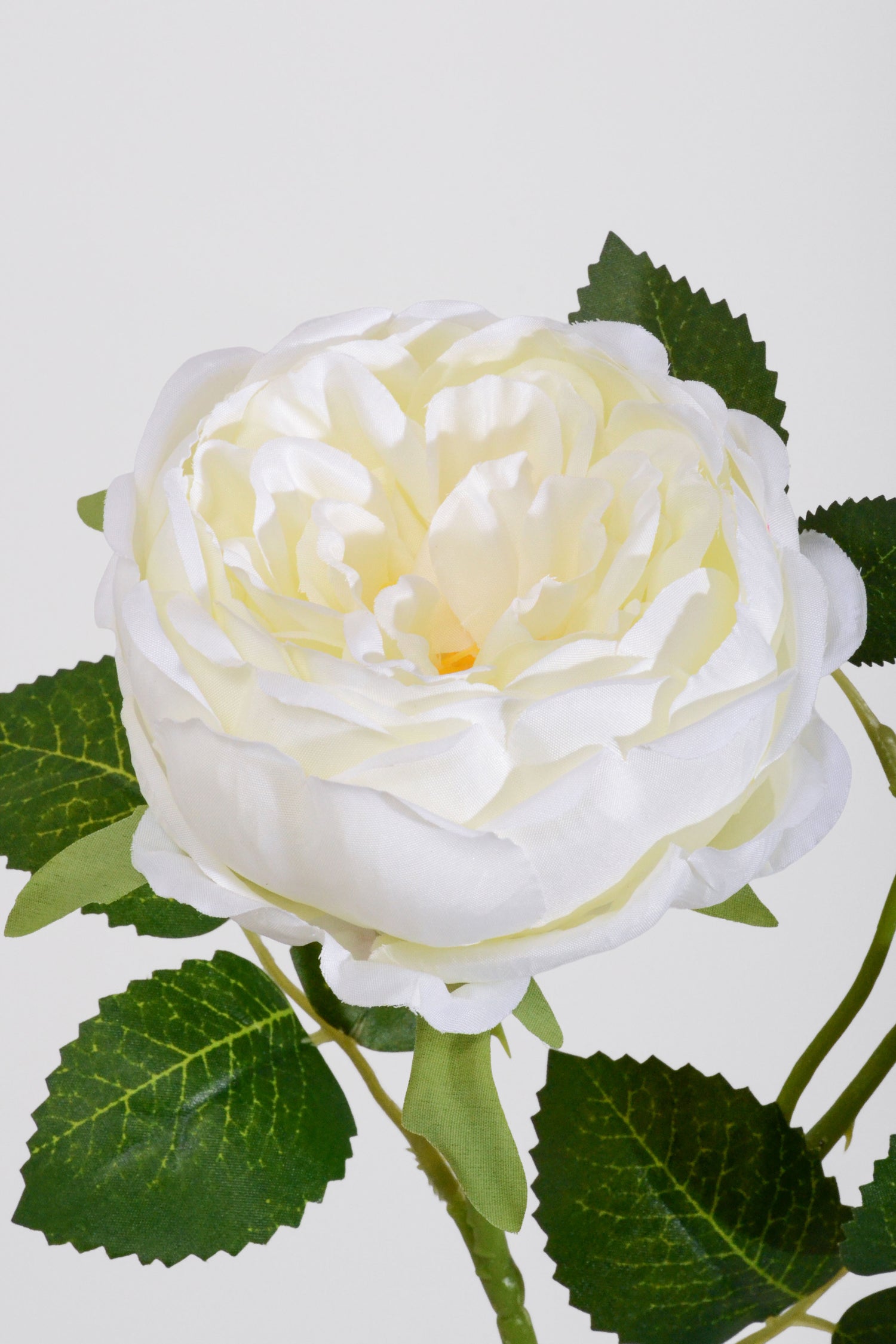 25.5" Silk Rose Spray Cream