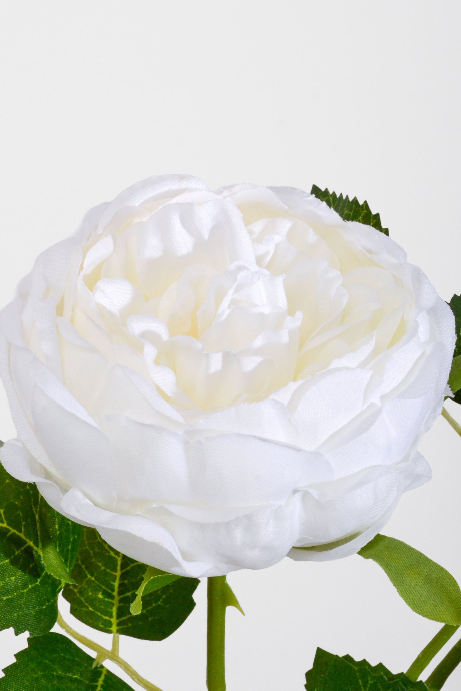 25.5" Silk Rose Spray White