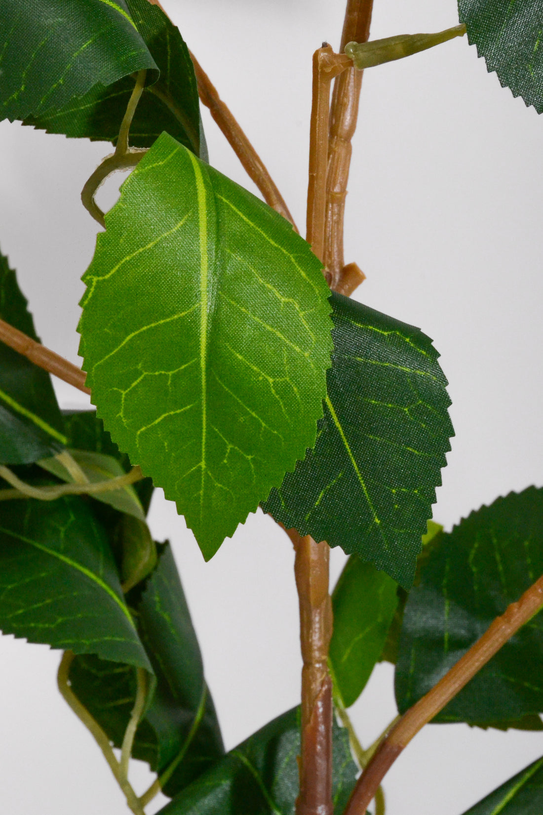 37" Camellia Leaf Spray Green