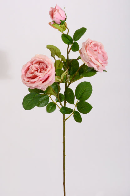 30" Silk Austin Rose Mauve