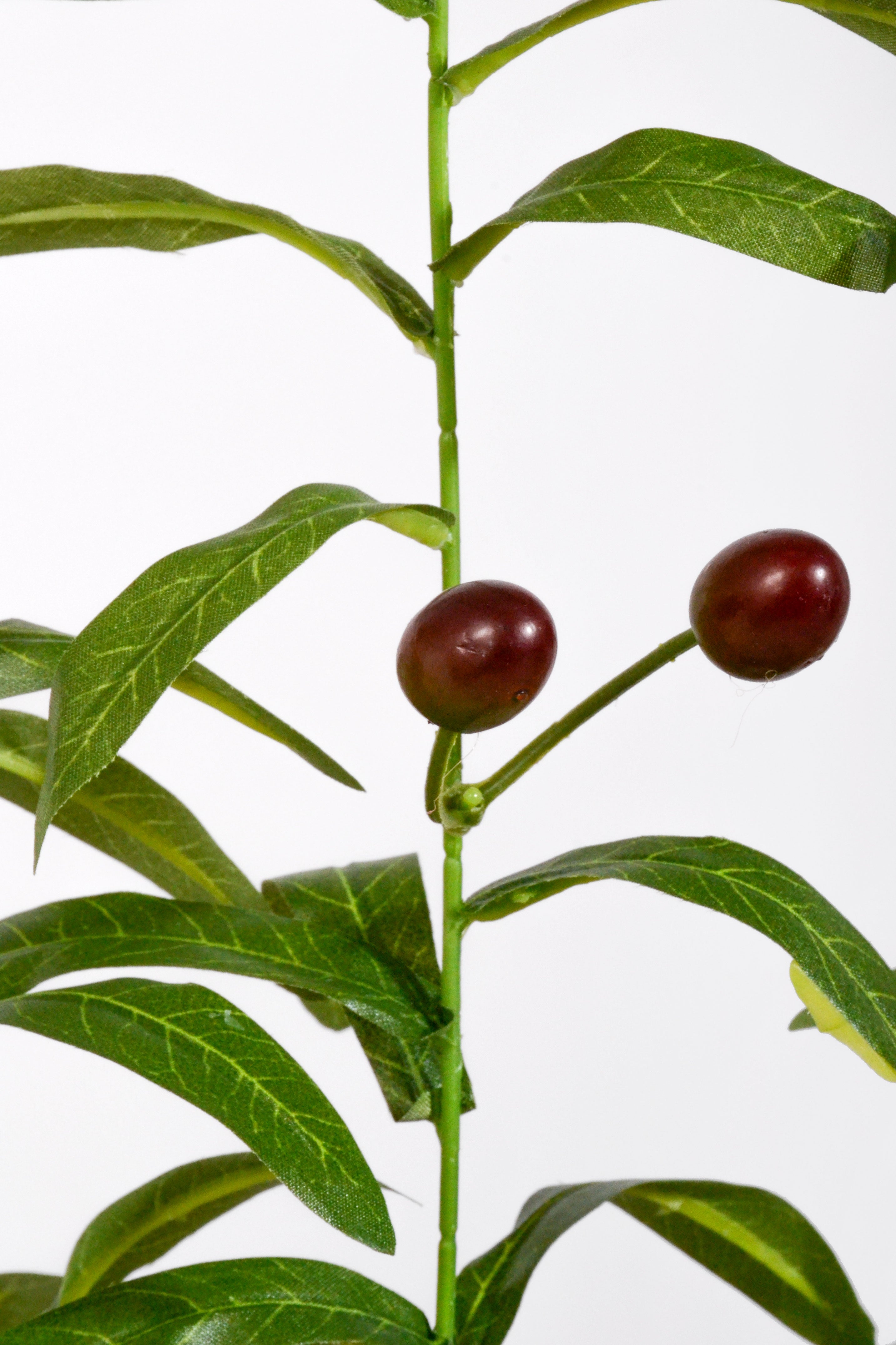 38.5" Olive Leaf Spray Green