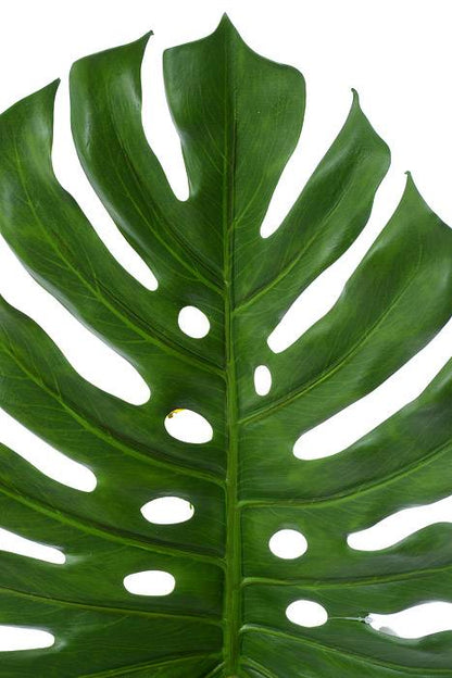 45" Split Philo Leaf Green