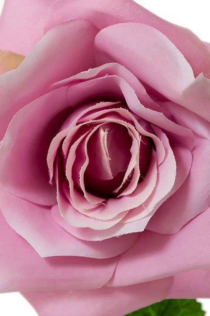 20" Open Rose Stem Lilac