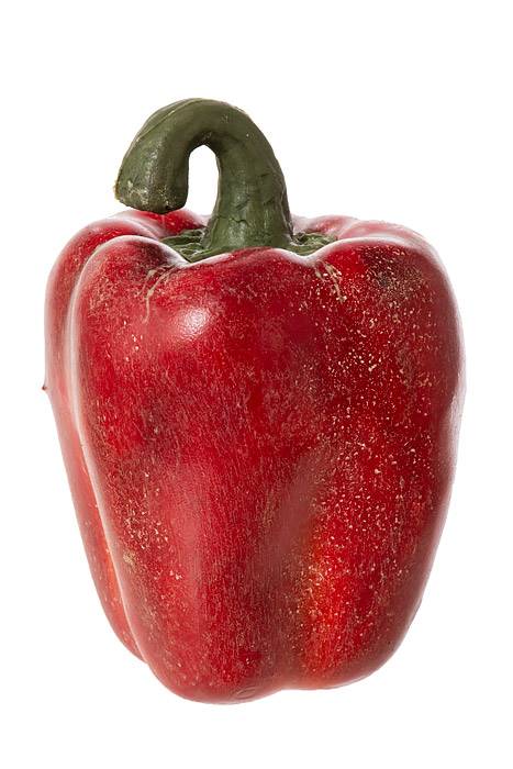 3.5" X 5" Weighted Pepper Red Pkg/6