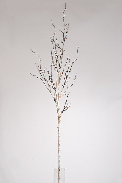 59" Frosted Winter Birch Branch Brown/White