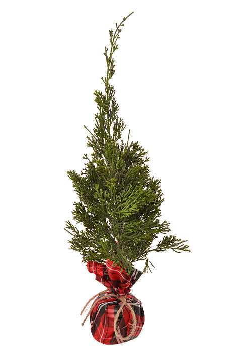 17" Artificial Cedar Tree In Plaid Sack Green/Red