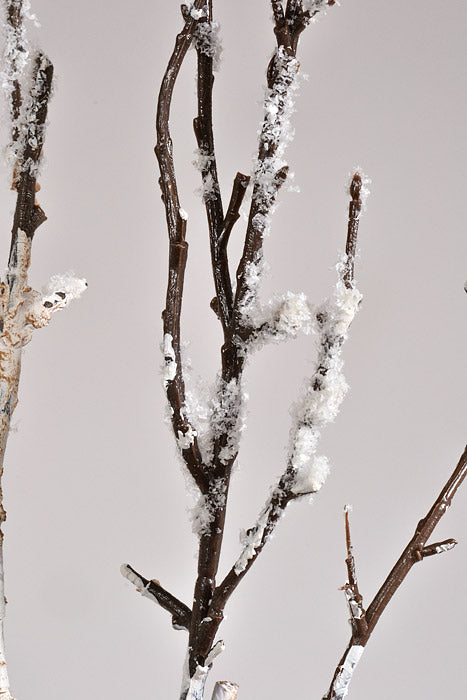 59" Frosted Winter Birch Branch Brown/White