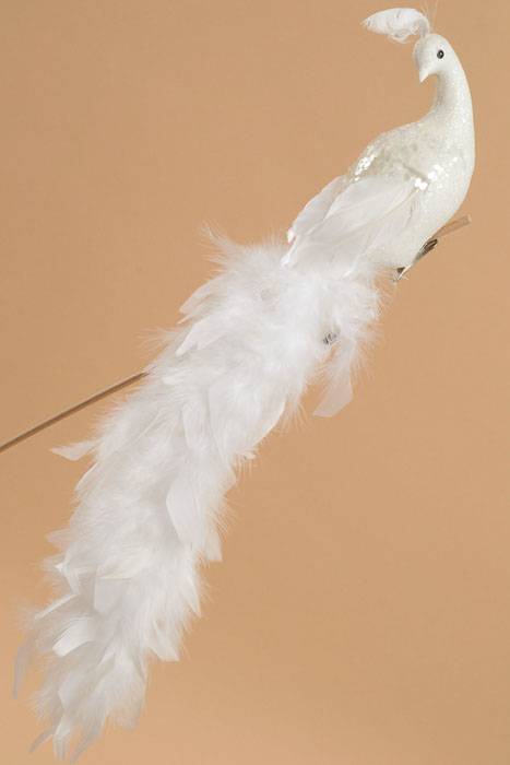 18" Glittered Peacock W/clip White