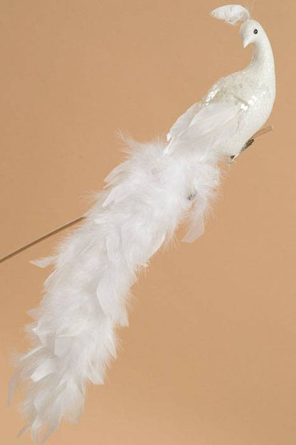 18" Glittered Peacock W/clip White