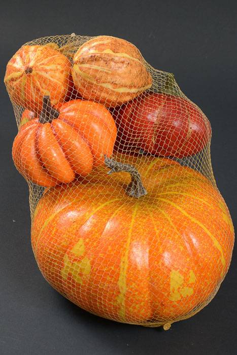 Style Mix Pumpkins In Net Fall Pkg/8