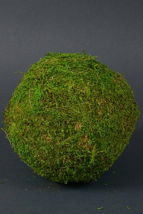7&quot; Moss Ball Green Sphere