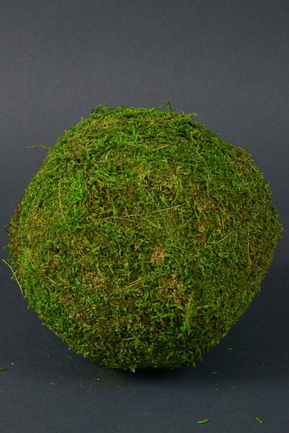 7" Moss Ball Green Sphere