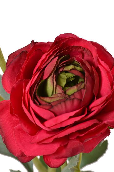 15&quot; Silk Ranunculus Spray W/bud Beauty