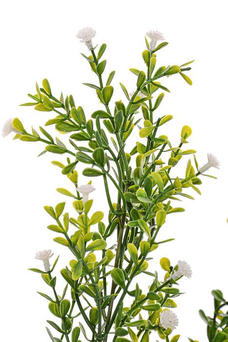 19&quot; Gypso Bush Cream