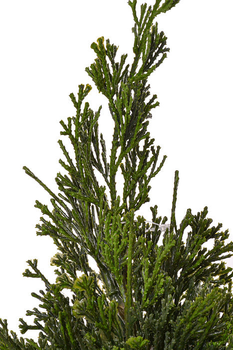 17" Artificial Cedar Tree In Plaid Sack Green/Red