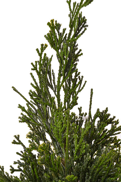 17" Artificial Cedar Tree In Plaid Sack Green/Red