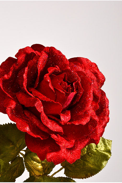 25" Glitter Winter Rose Stem Red