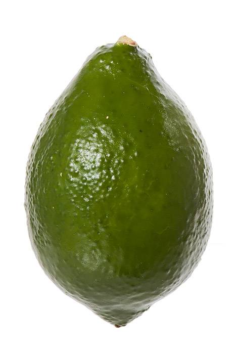 3" X 2" Lime Green Pkg/12