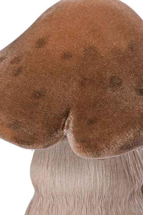 7.9" X 7.9" X 10" Easter Mushroom Nature