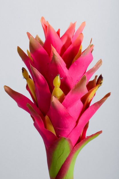 31" Artificial Costa Rican Bromeliad Beauty/Yellow