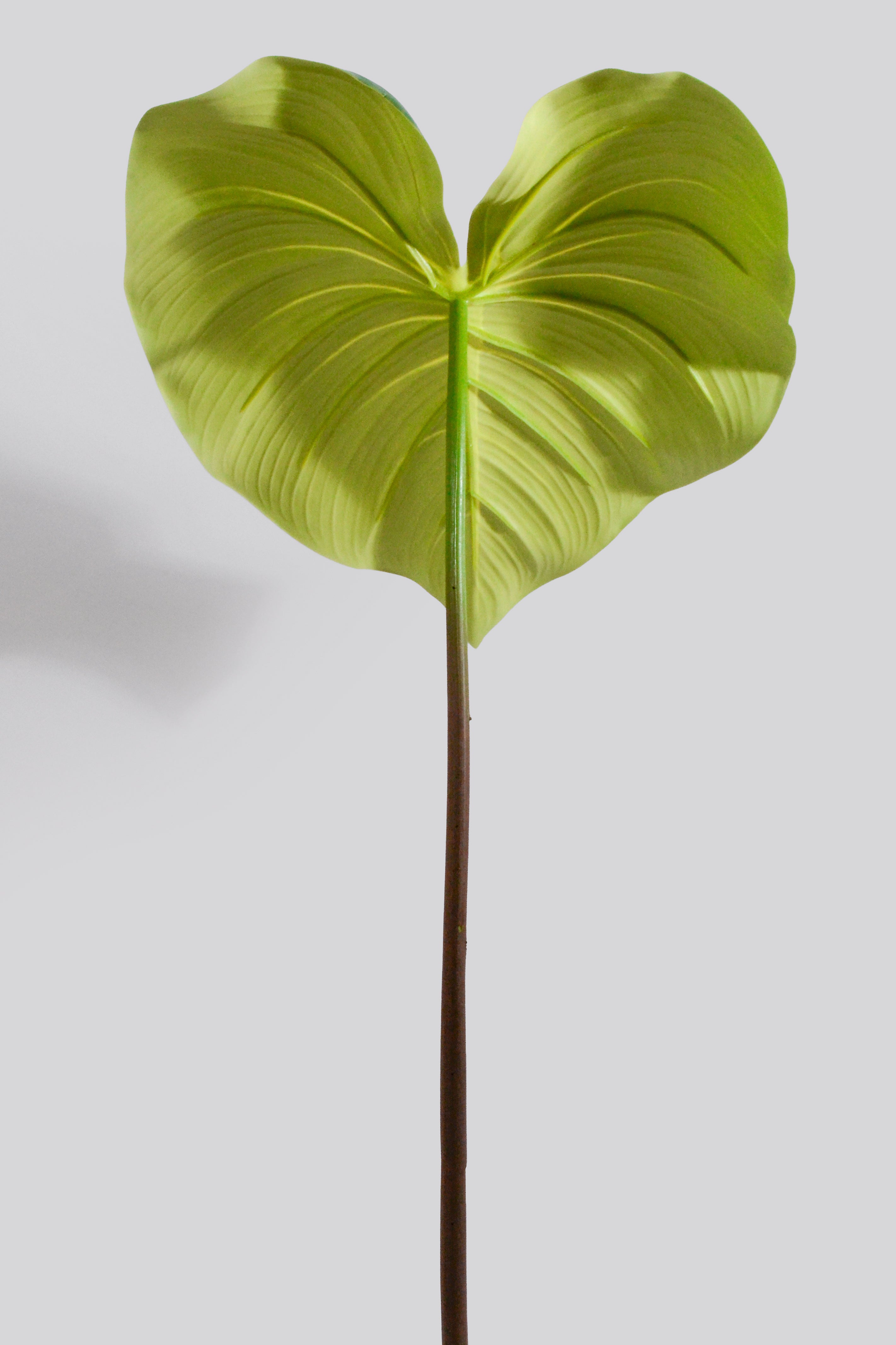 29" Artificial Alocasia Leaf Green