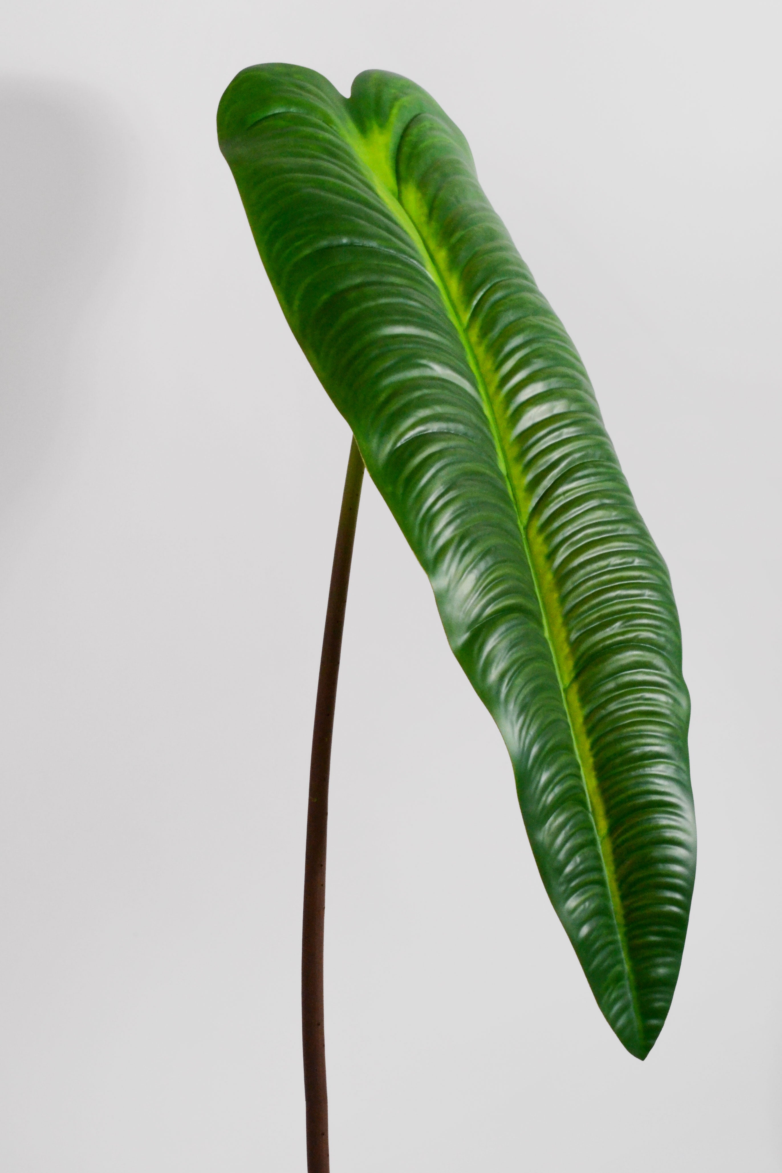 29.5" Elephant Ear Leaf Spray Green