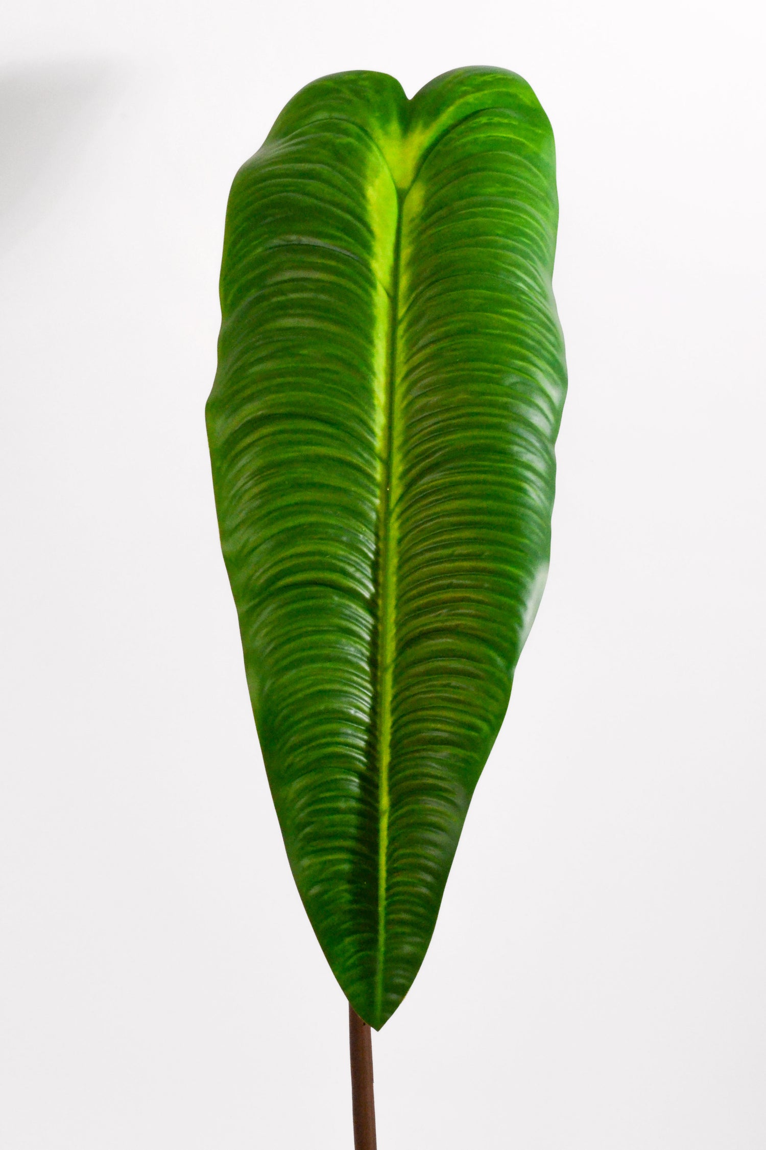 29.5" Elephant Ear Leaf Spray Green