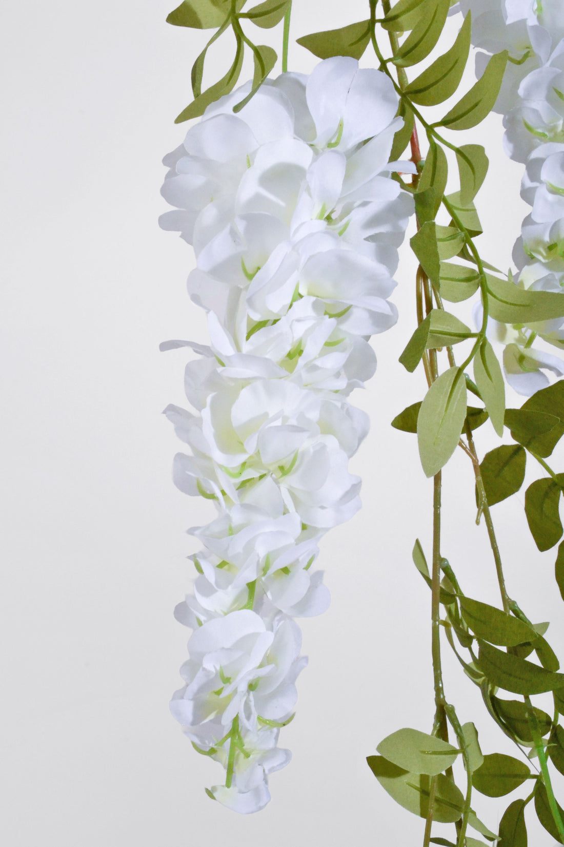 6Ft Artificial Wisteria Garland Cream
