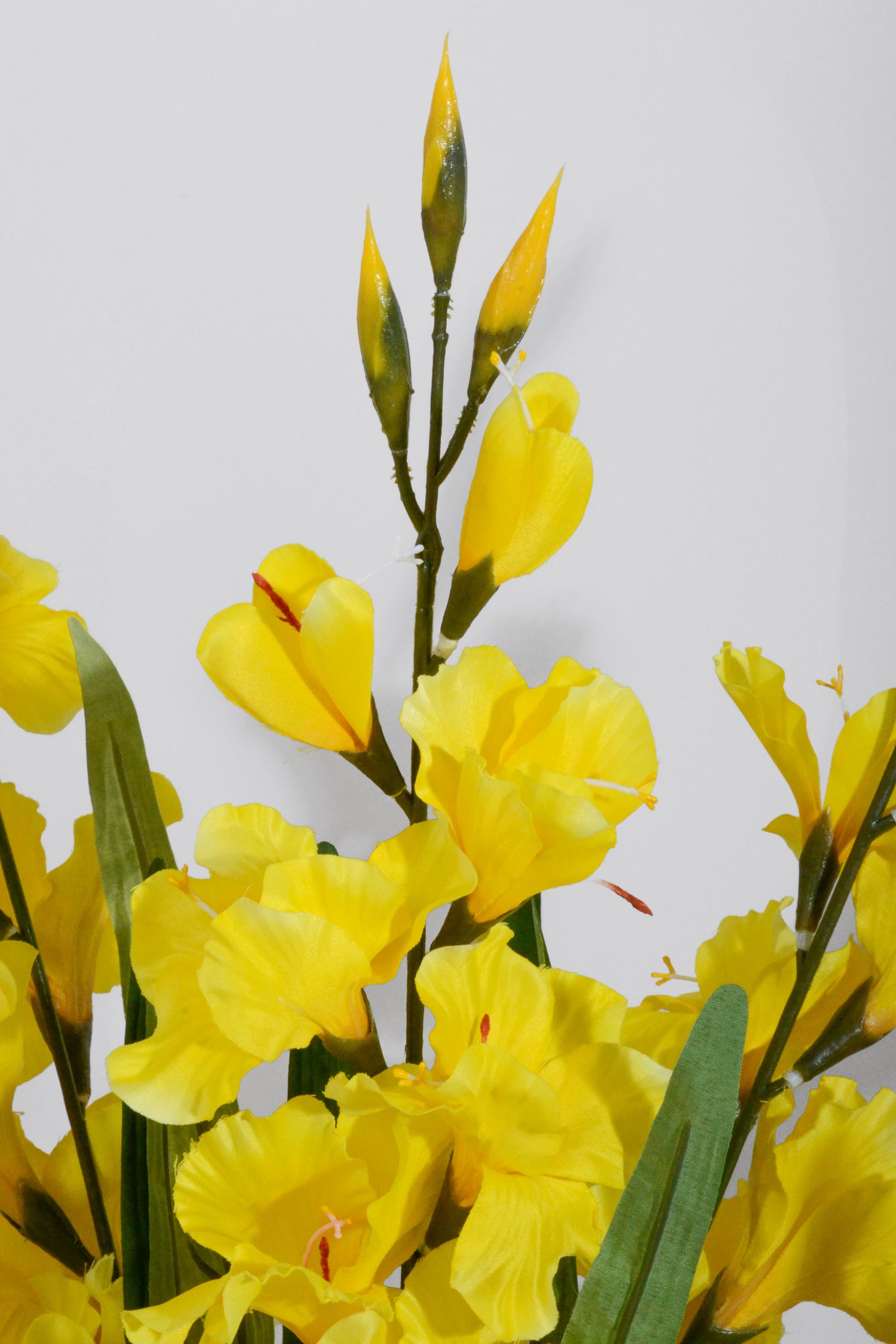 29" Satin Gladiolus Bush Yellow