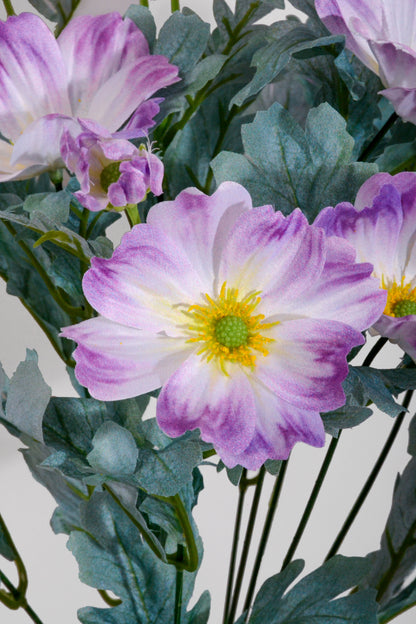 22" Silk Cosmo Bush Lavender