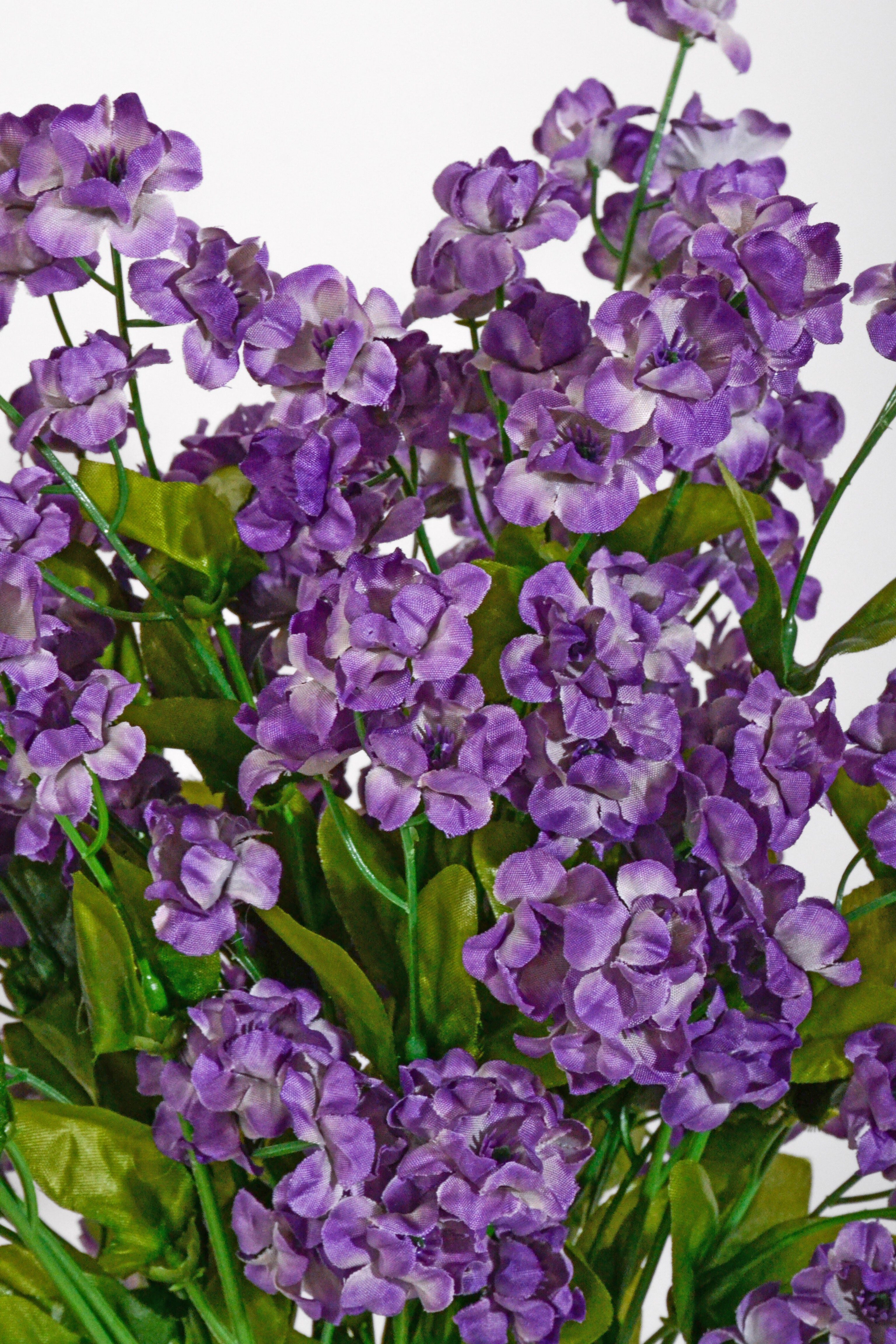 19" Double Baby Breath Spray Purple Pkg/6