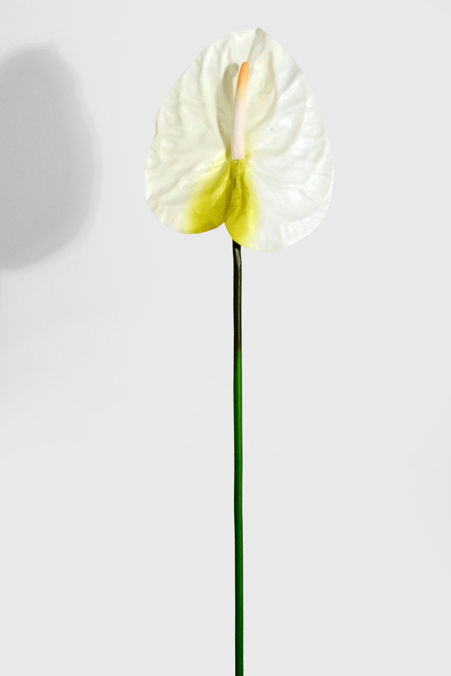 27" Artificial Large Anthurium Spray Cream/White