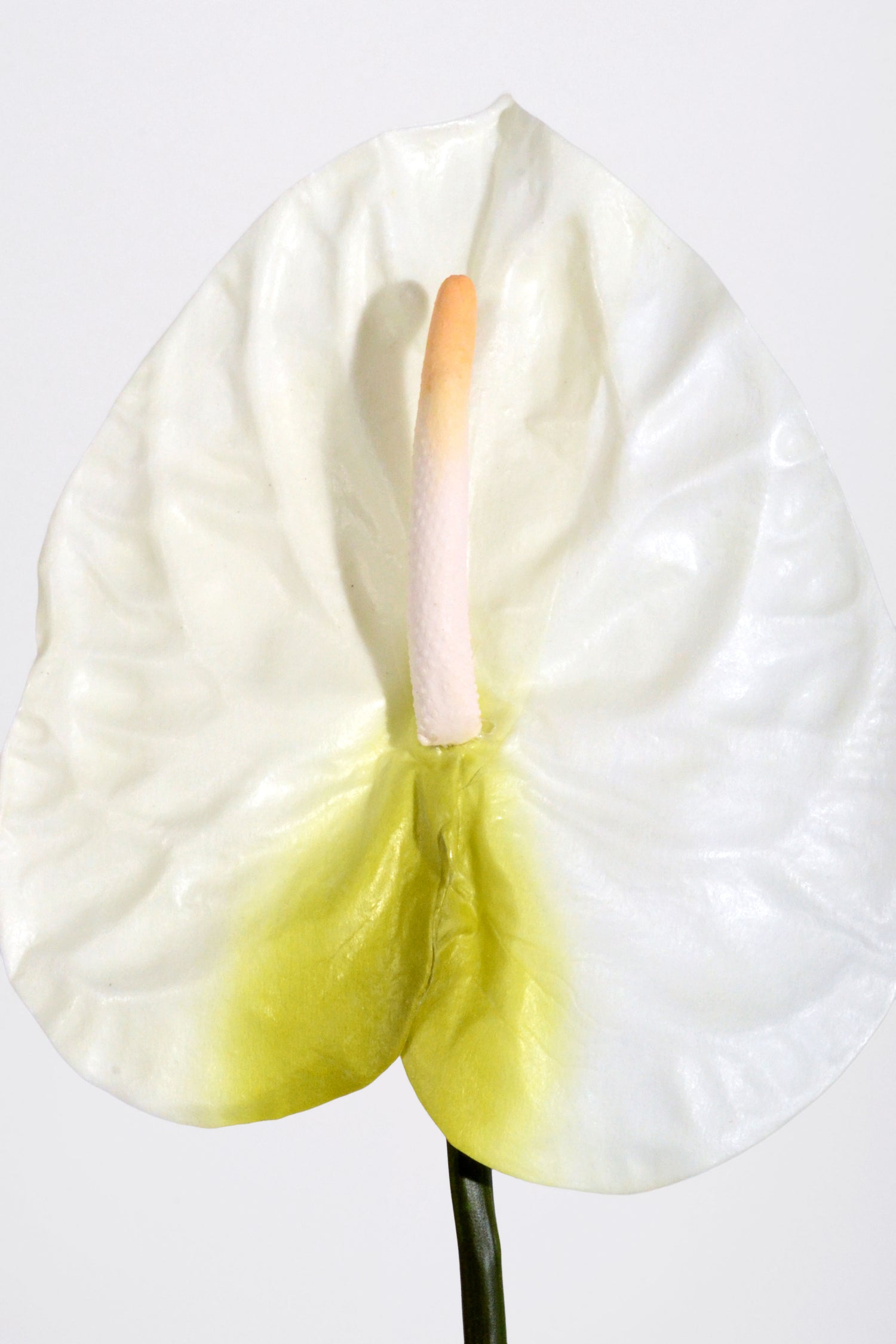 27" Artificial Large Anthurium Spray Cream/White