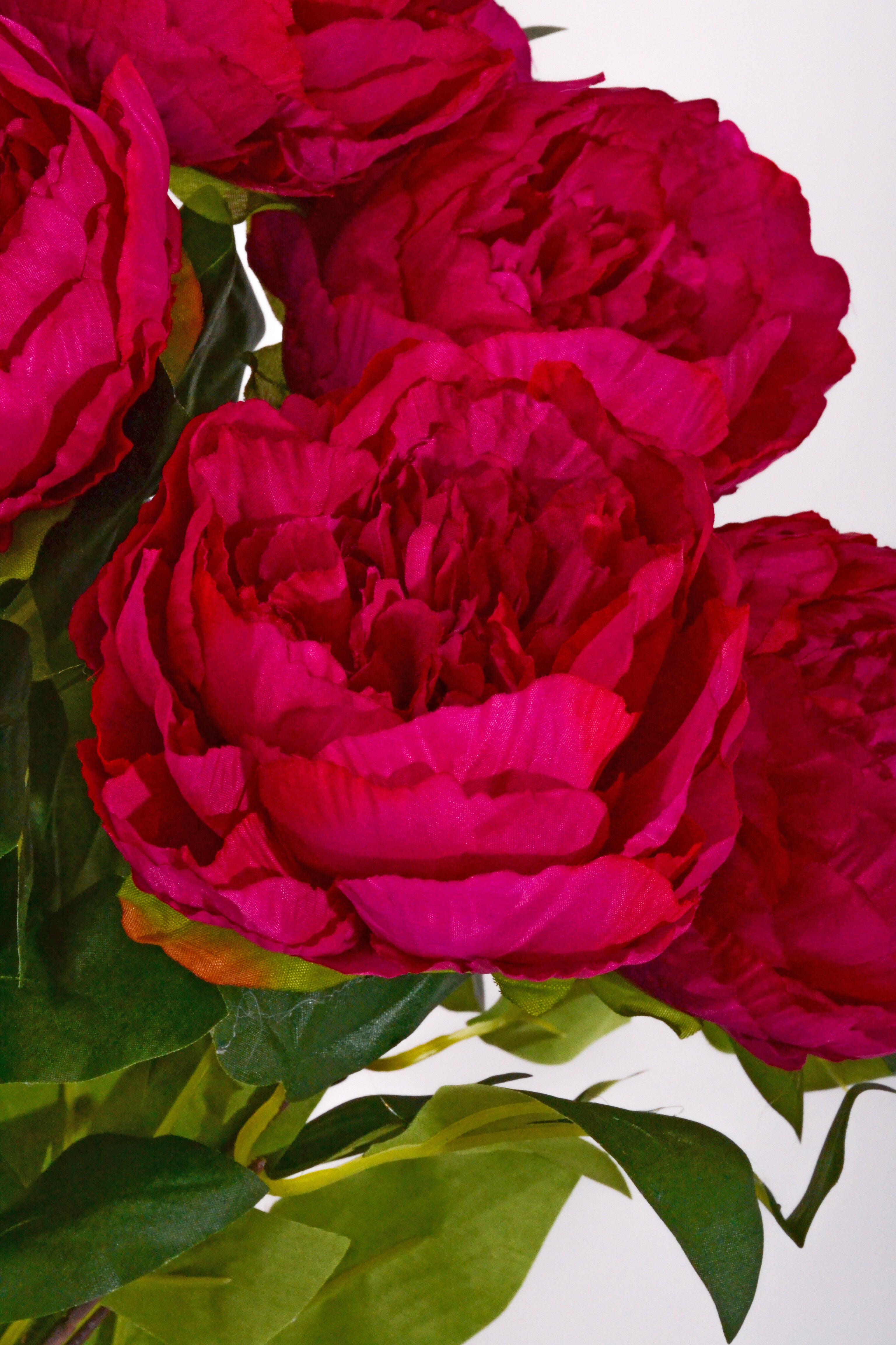 21" Silk Peony Bush Fuchsia