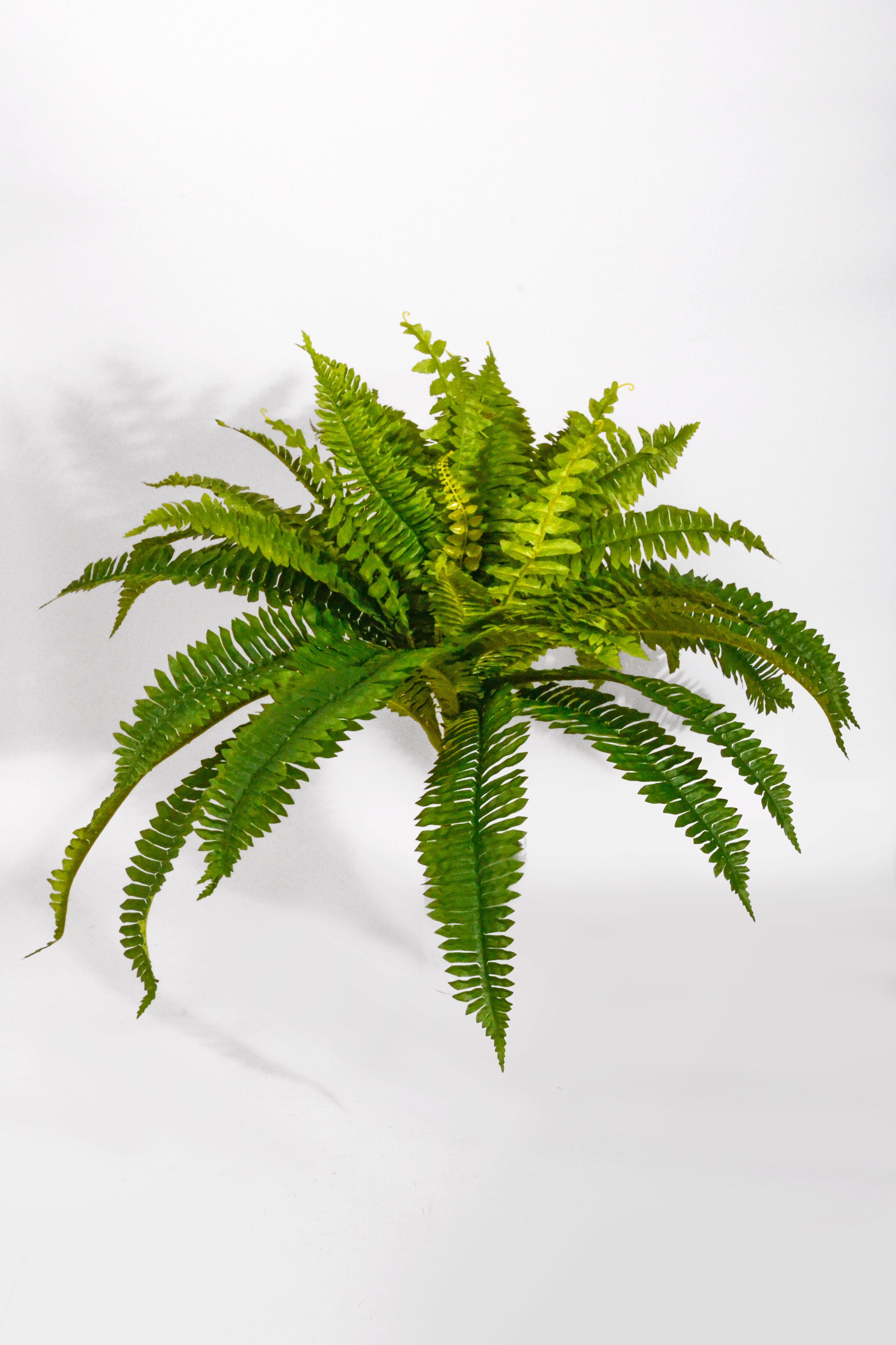 26" Artificial Boston Fern Green