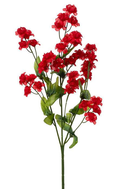 19" Double Baby Breath (Red) Pkg/6