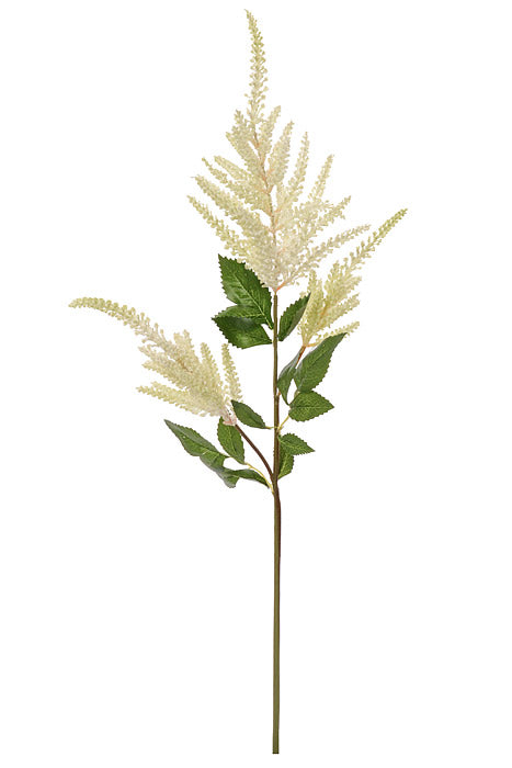 33&quot; Astilbe Spray Cream