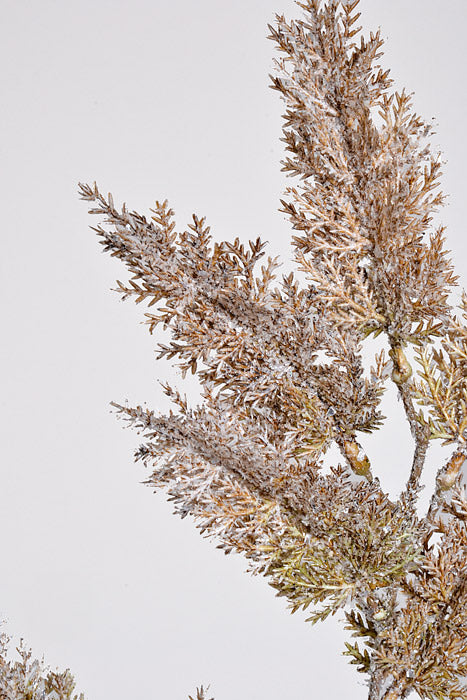 27" Winter Chalet Juniper Spray Latte