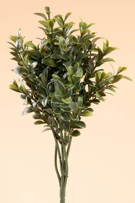 10" Boxwood Pick Green