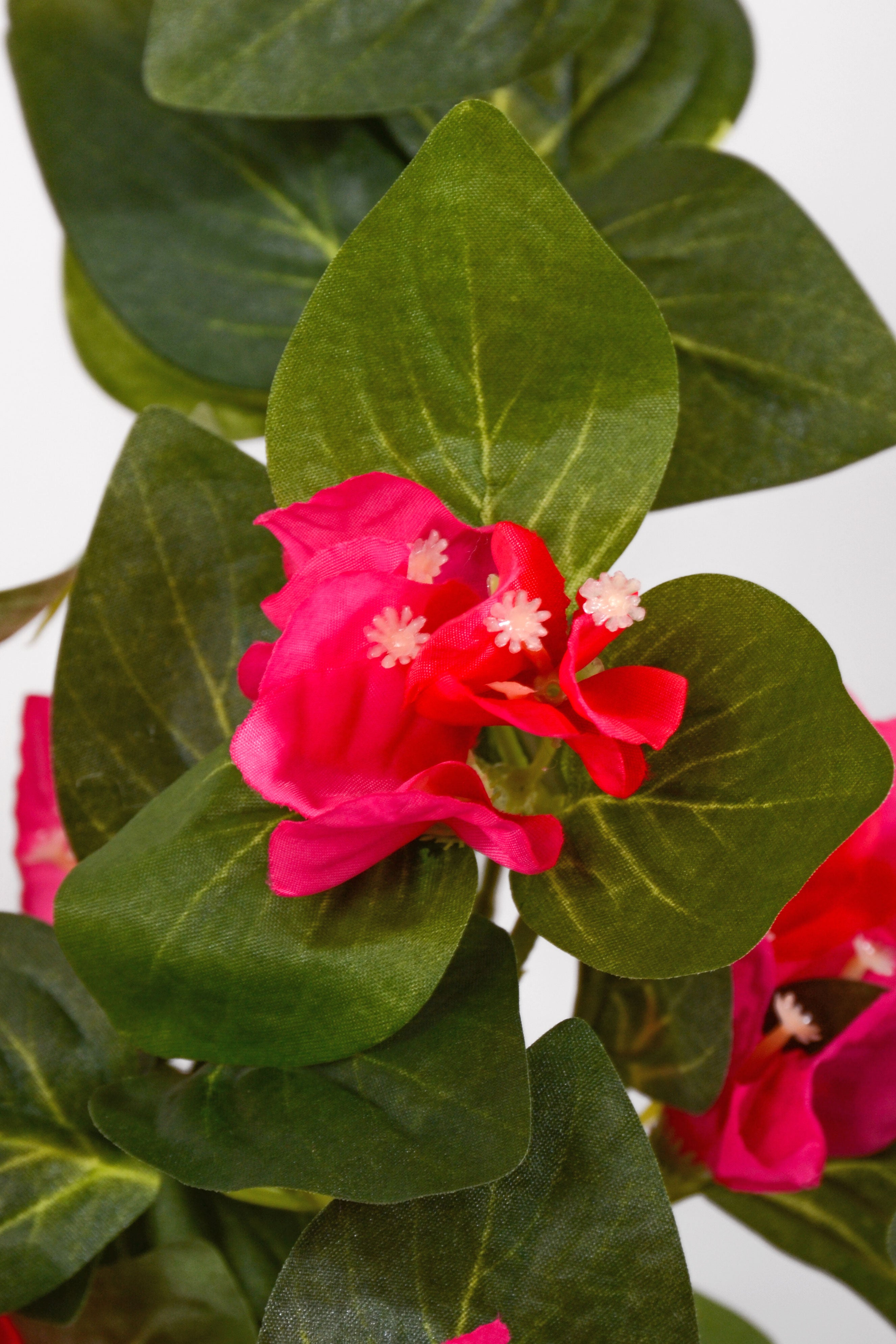22" Uv Silk Hanging Bougainvillea Plant Fuchsia