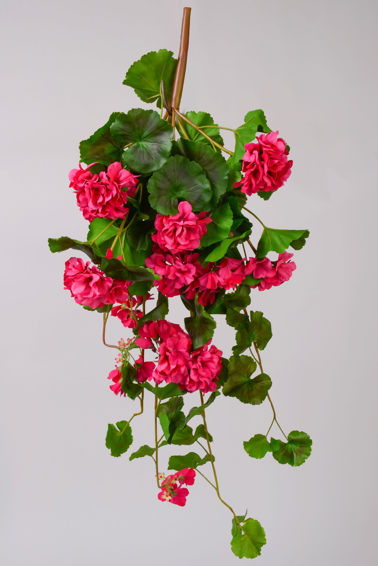 33" Uv Silk Natural Touch Hanging Geranium Hot Pink