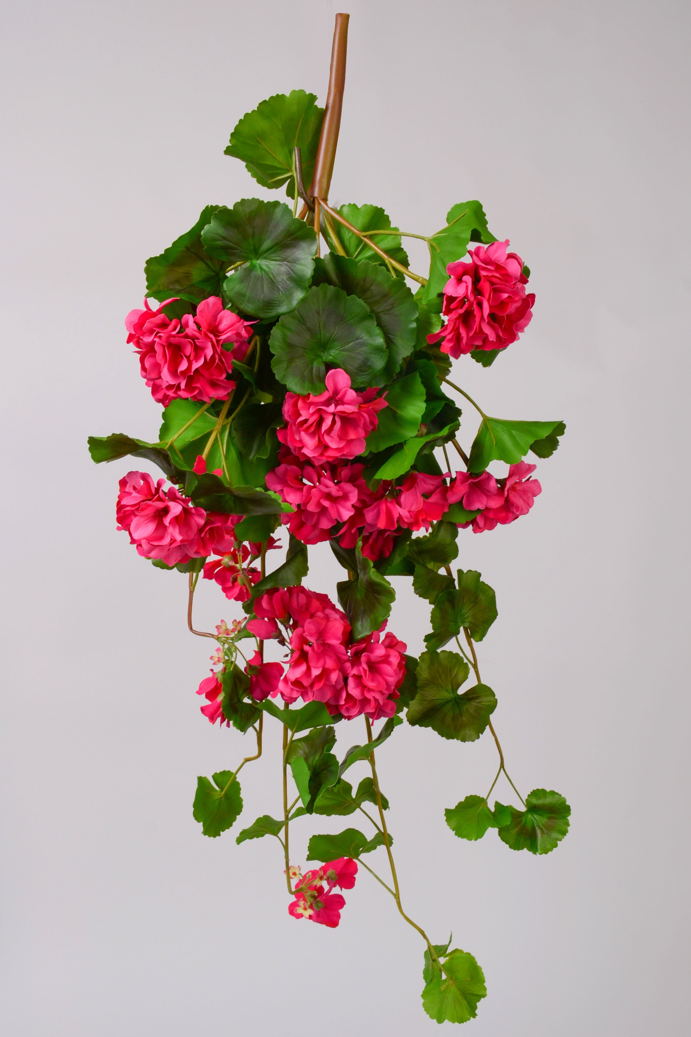 33" Uv Silk Natural Touch Hanging Geranium Hot Pink