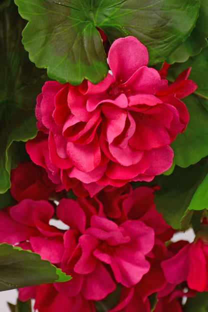 33" Uv Silk Natural Touch Hanging Geranium Hot Pink