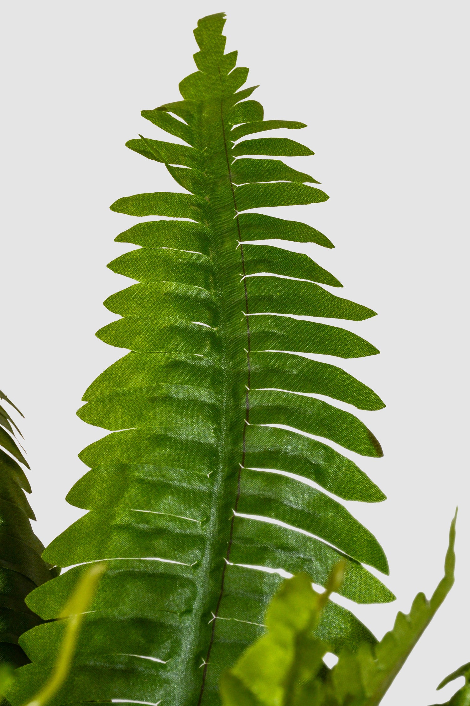 26" Uv Artificial Estate Boston Fern Two Tone Green