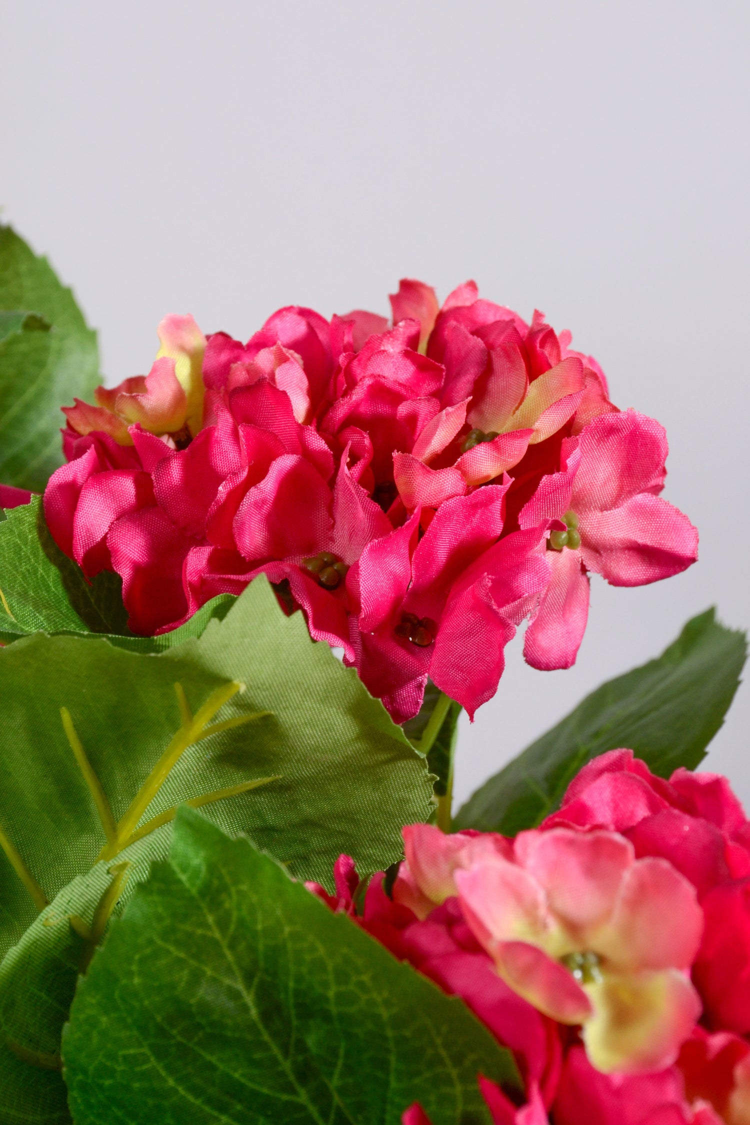21" Uv Silk Hanging Hydrangea Plant Hot Pink