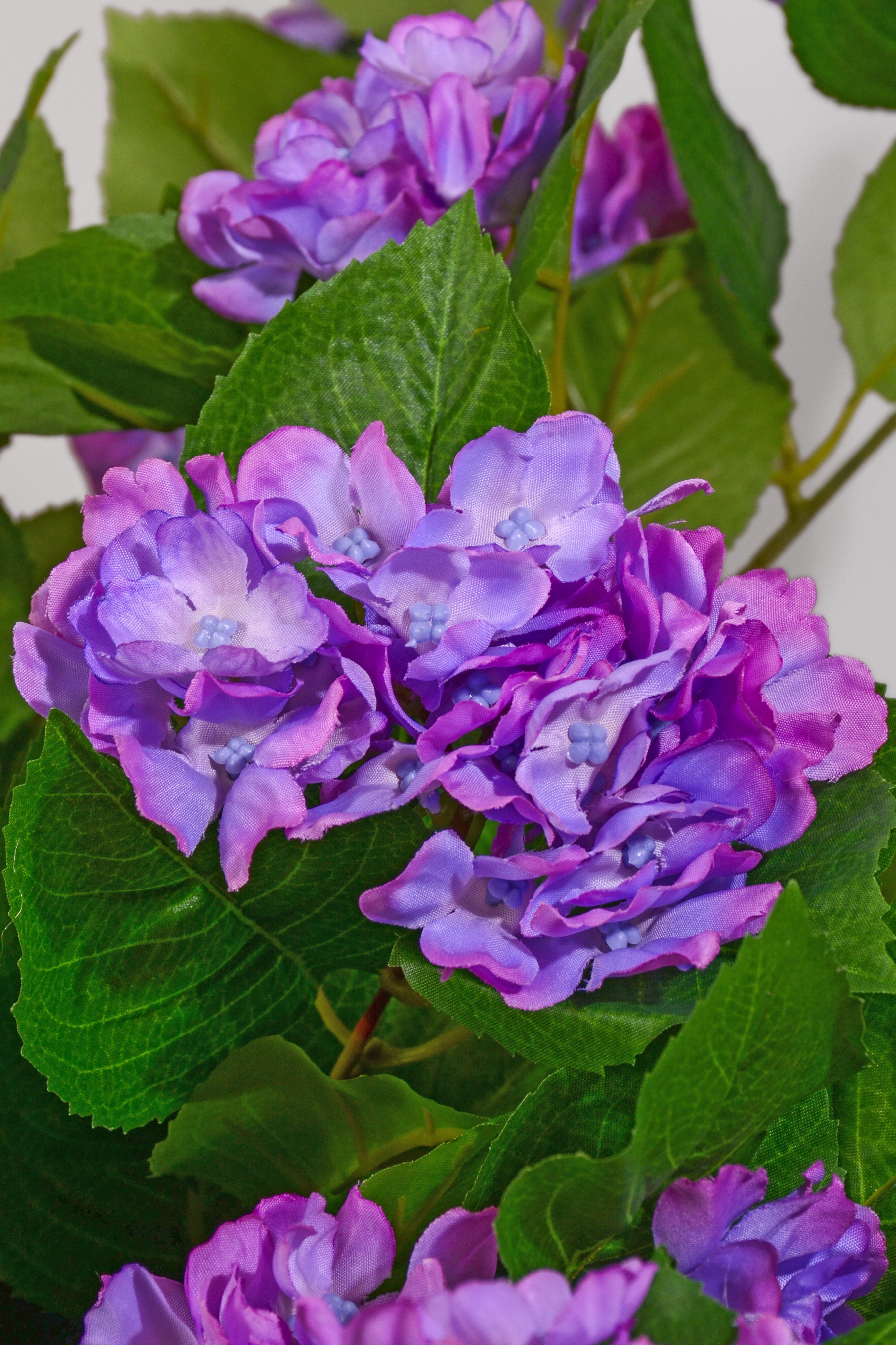 21" Uv Silk Hanging Hydrangea Plant Lavender