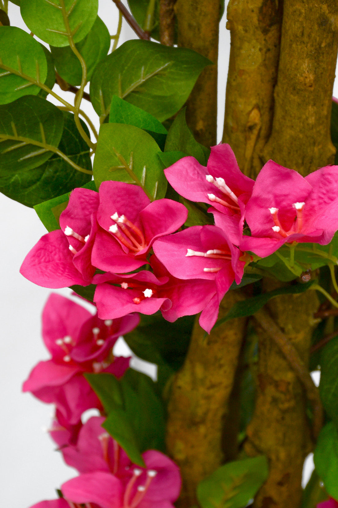 5.5Ft Artificial Bougainvillea Tree In Pot Beauty