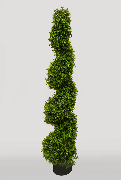 4Ft Pond Boxwood Spiral Topiary in pot Green