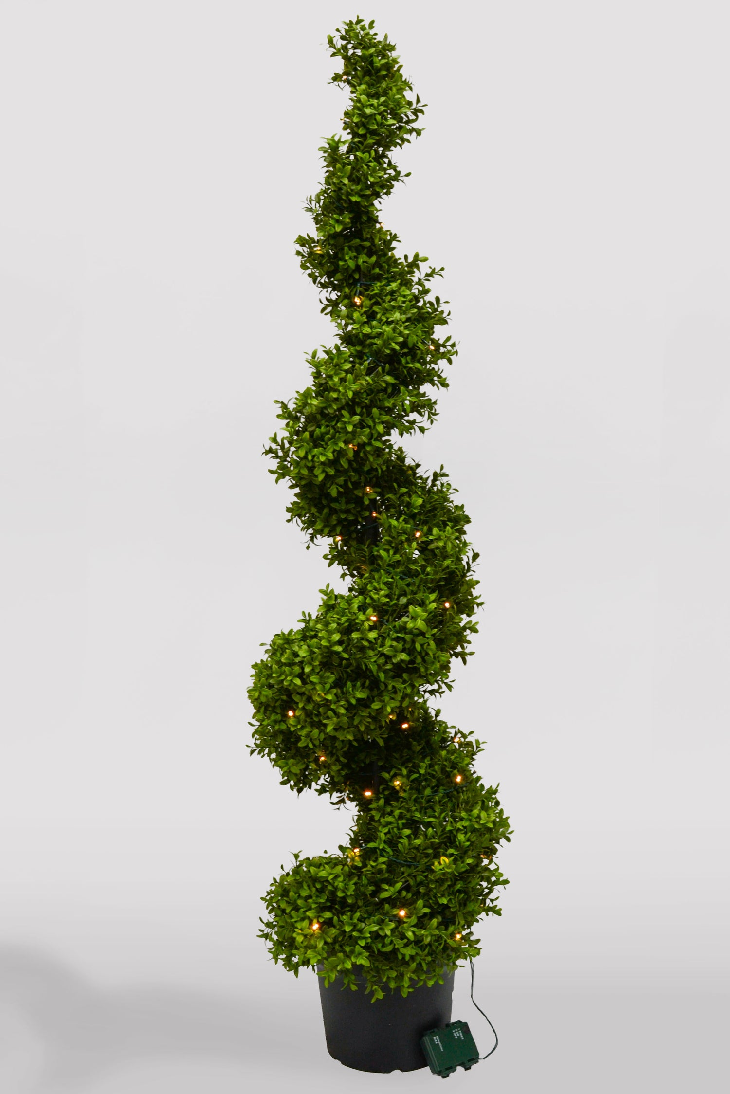58"  Uv Boxwood Spiral W/Lights In Pot Green