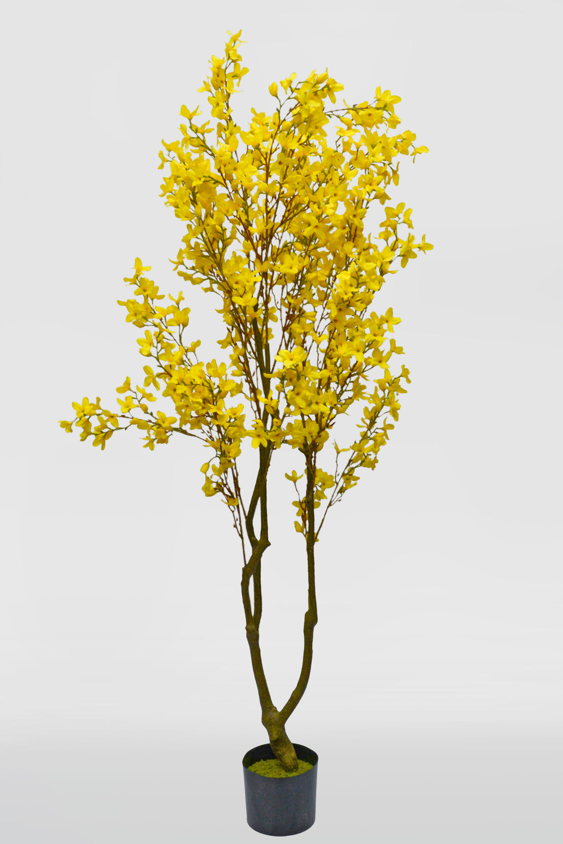 70" Artificial Forsythia Tree In Plastic Pot Yellow